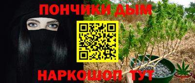 прущие грибы Обнинск