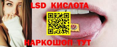 прущие грибы Обнинск