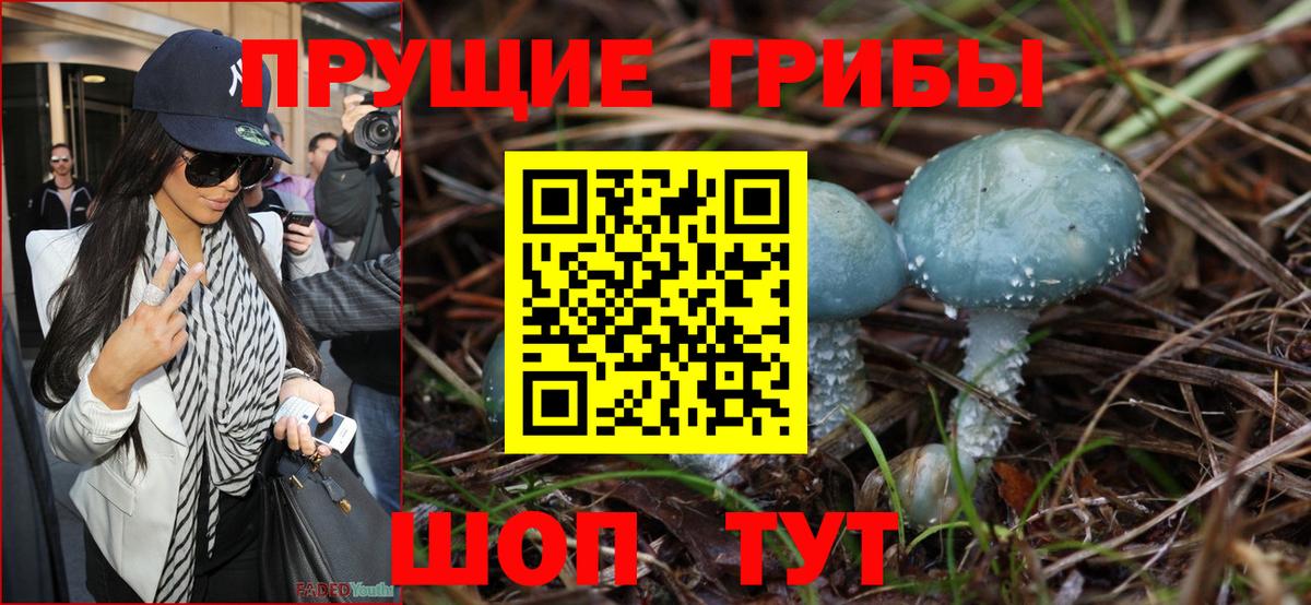 Псилоцибиновые грибы мухоморы Среднеуральск