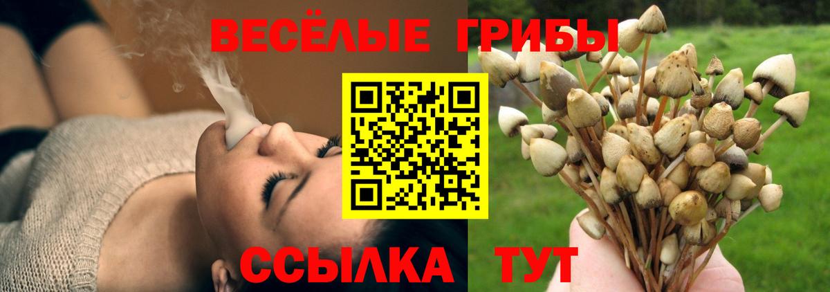 Среднеуральск  хочу   Псилоцибиновые грибы MAGIC MUSHROOMS  Вход с VPN  Галлюциногенные грибы MAGIC MUSHROOMS 